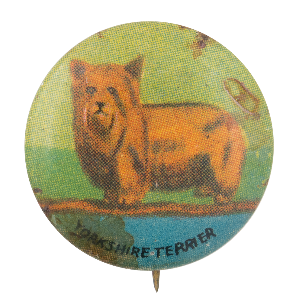 Yorkshire Terrier | Busy Beaver Button Museum