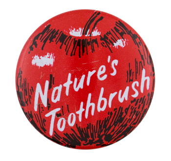 Nature's Toothbrush Advertising Busy Beaver Button Museum
