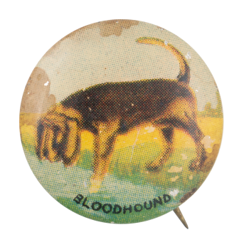Bloodhound Art Button Museum
