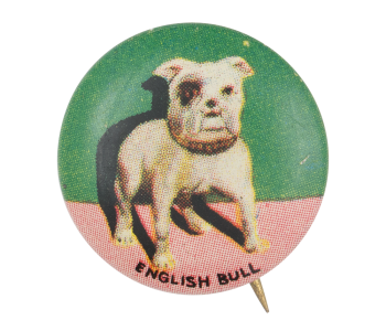 English Bull Art Button Museum