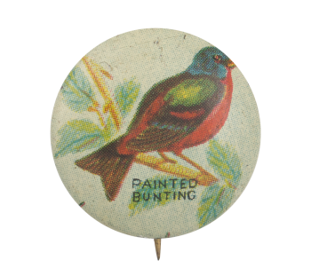 Painted Bunting Art Button Museum