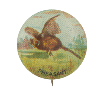 Pheasant Art Button Museum
