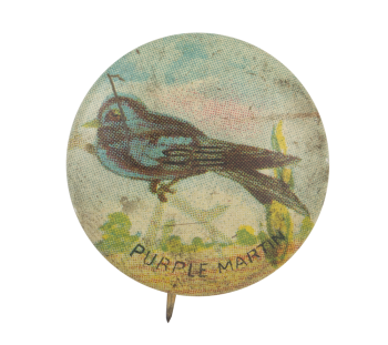 Purple Martin Art Button Museum