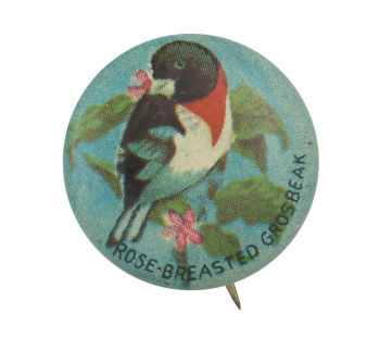 Rose-Breasted Grosbeak Art Button Museum