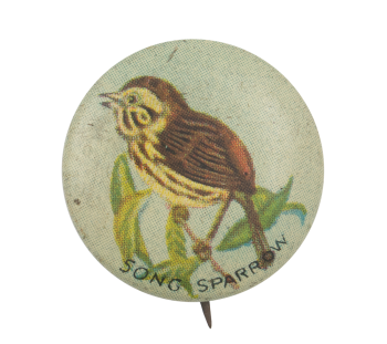Song Sparrow Art Button Museum
