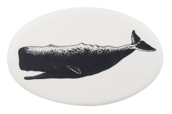 Sperm Whale Art Button Museum