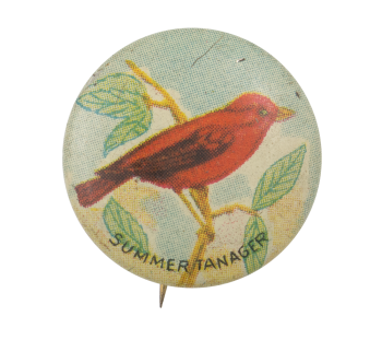 Summer Tanager Art Button Museum
