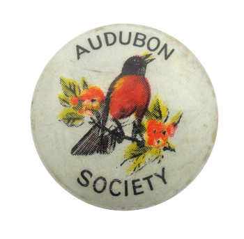 Audubon Society Bird Club Button Museum