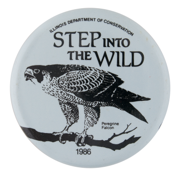 Step Into the Wild Peregrine Falcon Club Button Museum