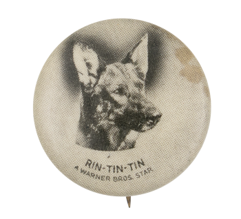 Rin Tin Tin Entertainment Busy Beaver Button Museum