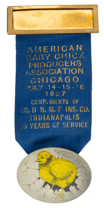 American Baby Chick Producers Association Event Button Museum