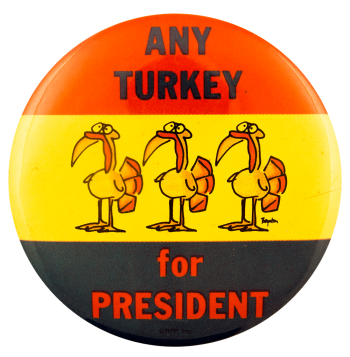 Any Turkey For President Flag Humorous Busy Beaver Button Museum