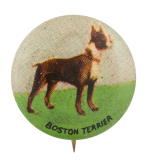 Boston Terrier Art Button Museum