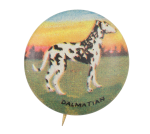 Dalmatian Art Button Museum