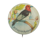 Red -Headed Woodpecker Art Button Museum