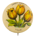 Sweet Charity Tulip Advertising Button Museum