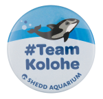 Team Kolohe Shedd Aquarium Chicago Button Museum