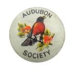 Audubon Society Bird Club Button Museum