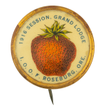 1916 Session Grand Lodge Club Button Museum